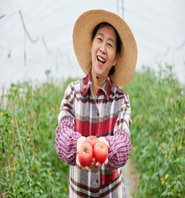 China se convierte en el primer pais en exportación de tomate